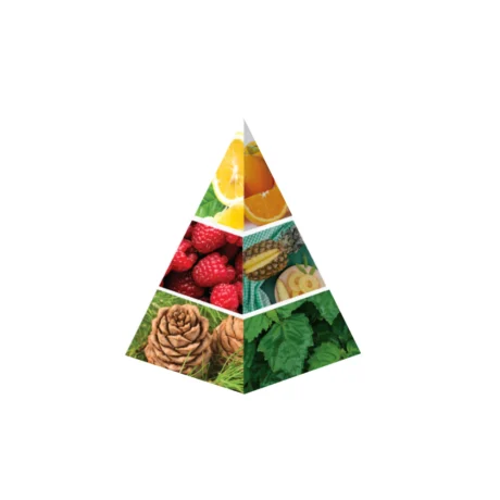 lamsa gift set | 3 peaces | naseem (copy)