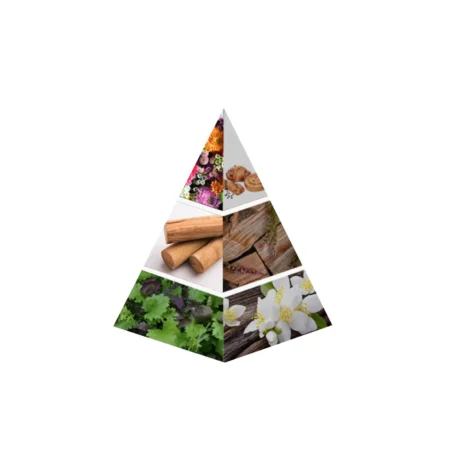 HANAYEN | 12ML | NASEEM hanayen | 12ml | naseem