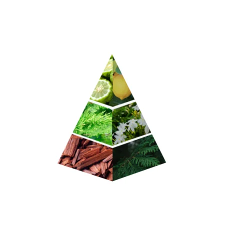 burhan | 20ml | naseem (copy)