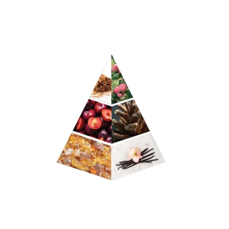 golden woods | 55ml | naseem