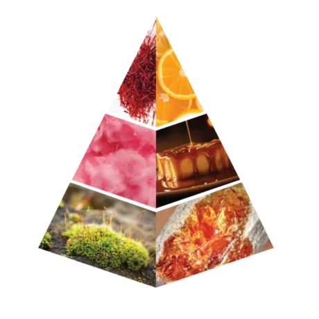 amal | 16ml | naseem