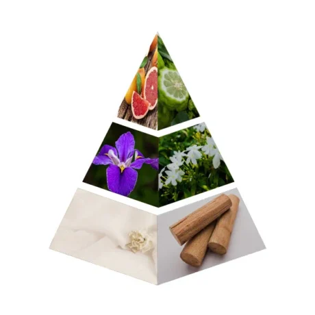 AQUA | 80ML | NASEEM aqua