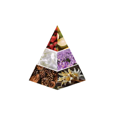 roho safi | 18ml | naseem